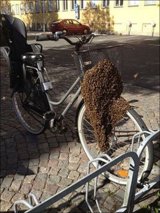 Подборка неудач