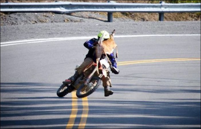 Подборка неудач