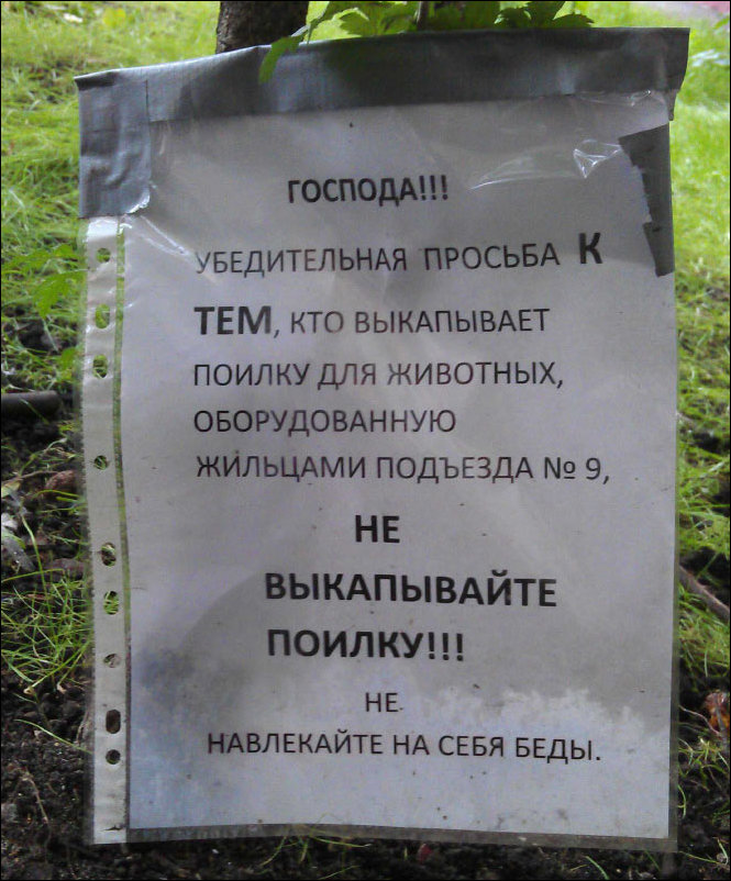 Прикольные надписи и объявления