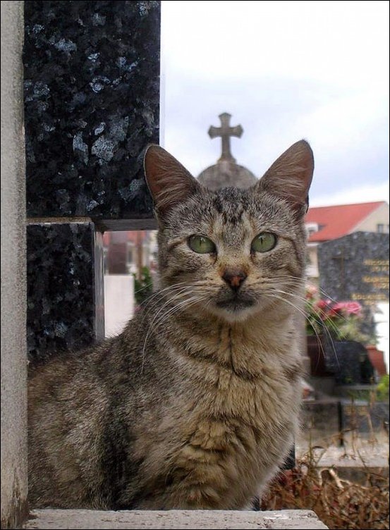 Подборка фотографий, фото приколы