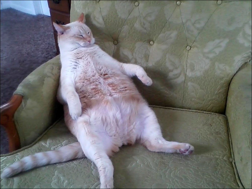 Подборка фотографий, фото приколы