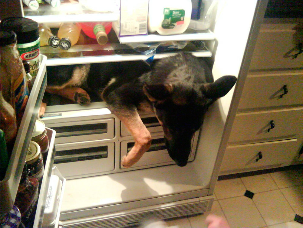 Подборка фотографий, фото приколы