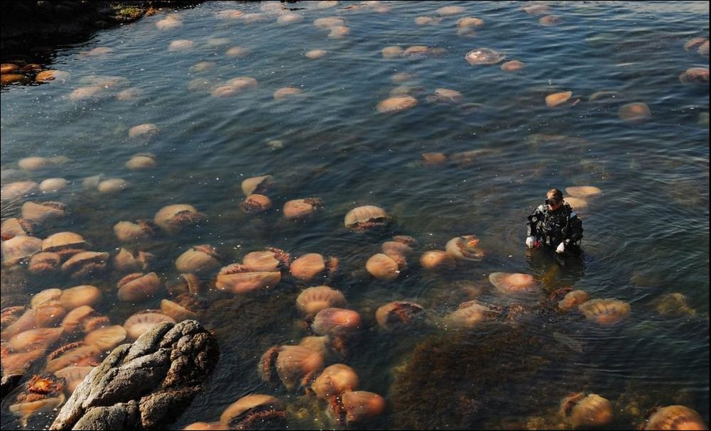 Подборка фотографий, фото приколы