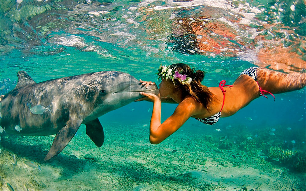 Подборка фотографий, фото приколы