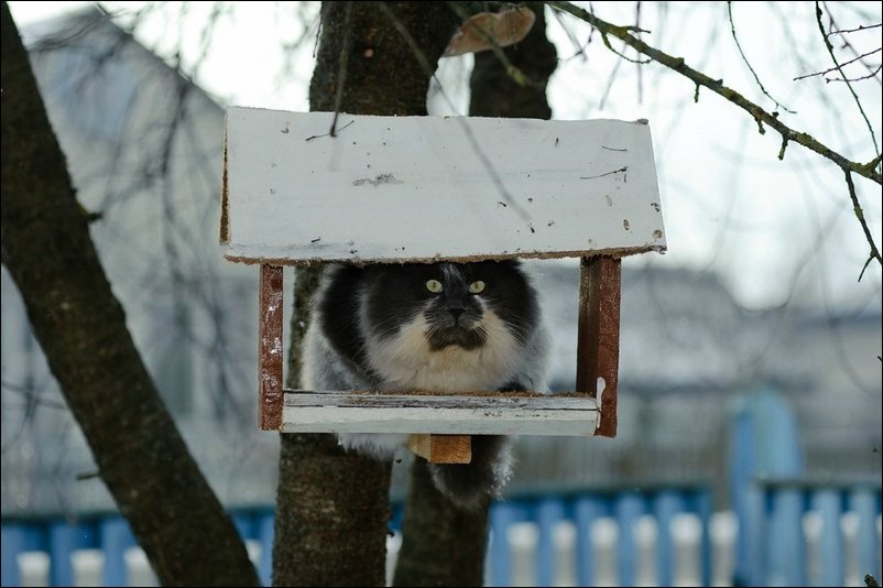 Подборка фотографий, фото приколы