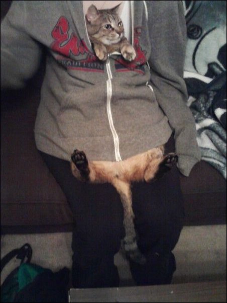 Подборка фотографий, фото приколы