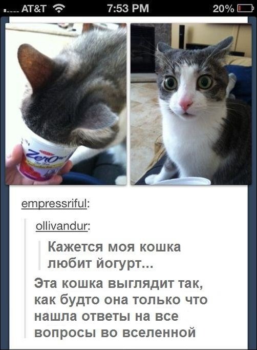 Подборка фотографий, фото приколы