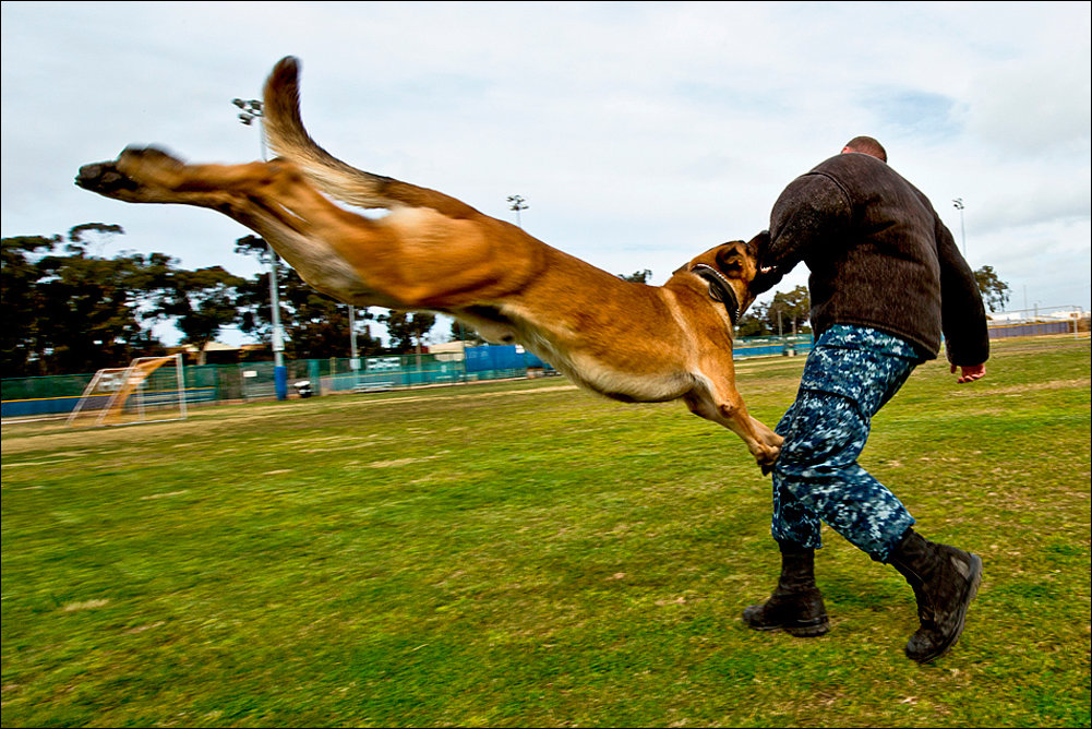Подборка фотографий, фото приколы