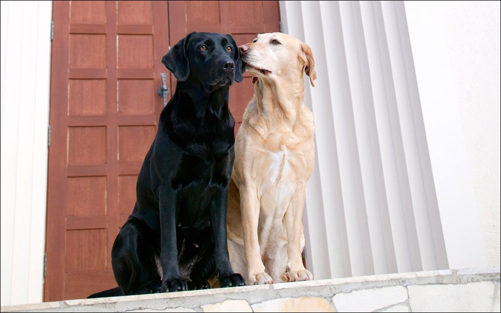 Подборка фотографий, фото приколы