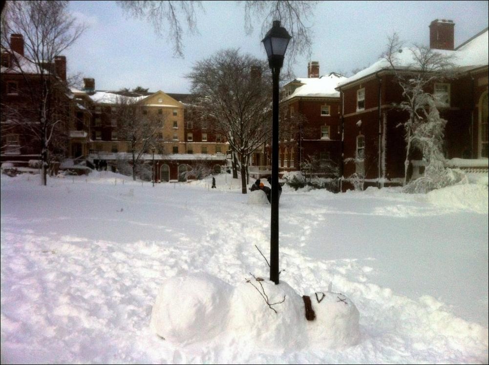 Подборка фотографий, фото приколы
