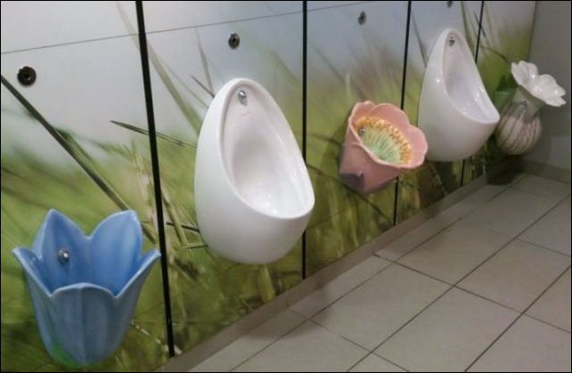 Подборка фотографий, фото приколы