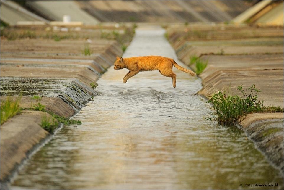 Подборка фотографий, фото приколы