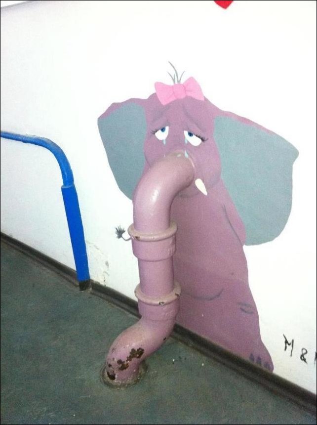 Подборка фотографий, фото приколы