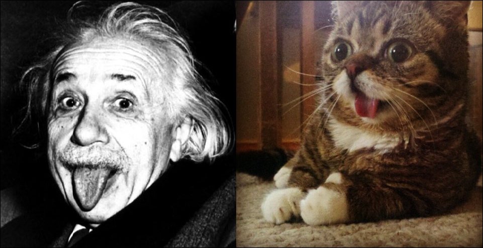 Подборка фотографий, фото приколы