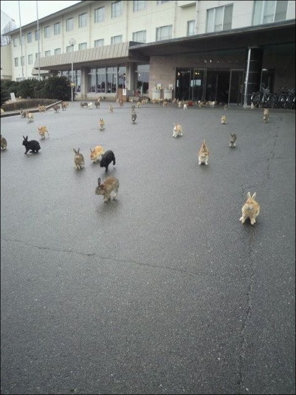 Подборка фотографий, фото приколы