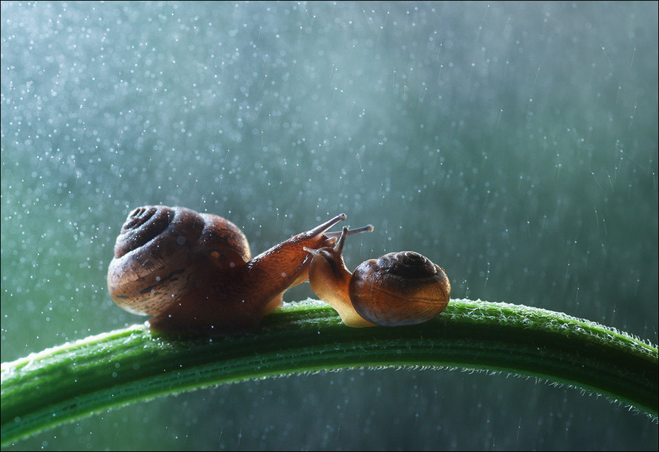 Подборка фотографий, фото приколы