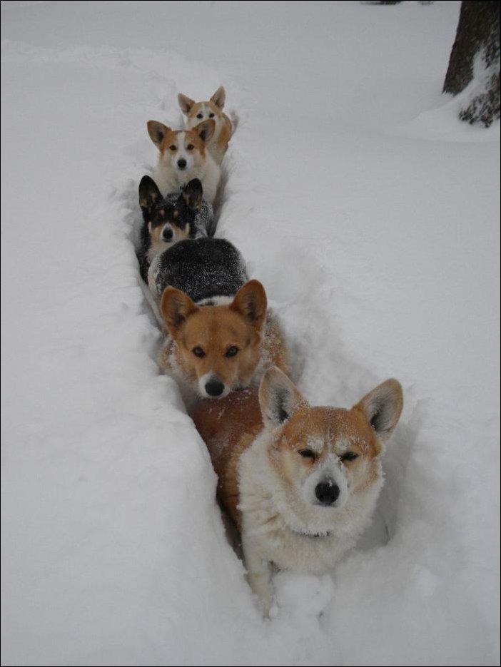 Подборка фотографий, фото приколы