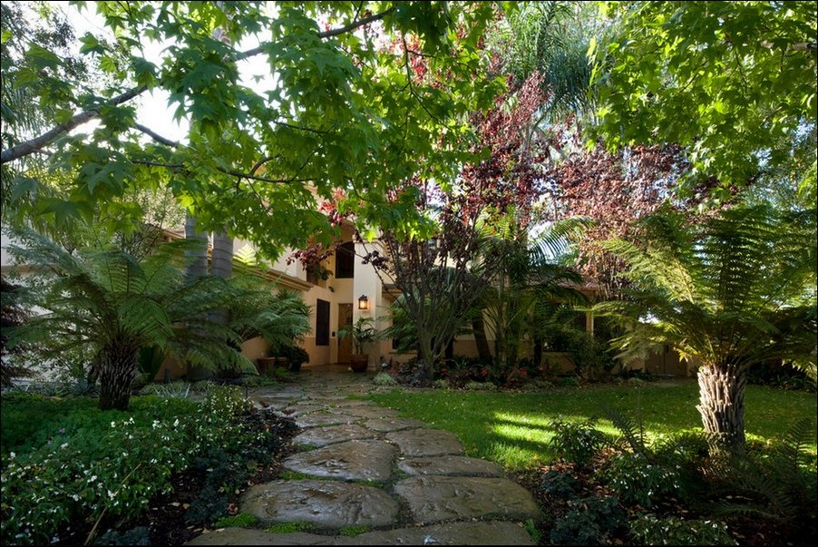 Рай для кошек