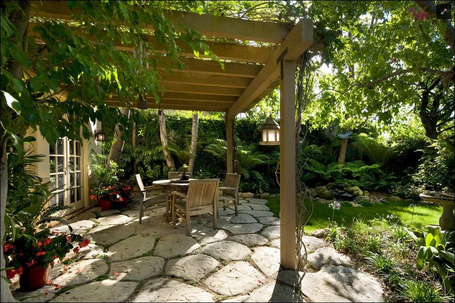 Рай для кошек