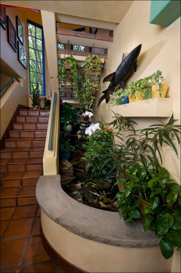 Рай для кошек