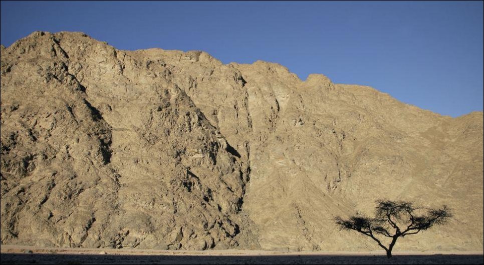 Кинотеатр в пустыне