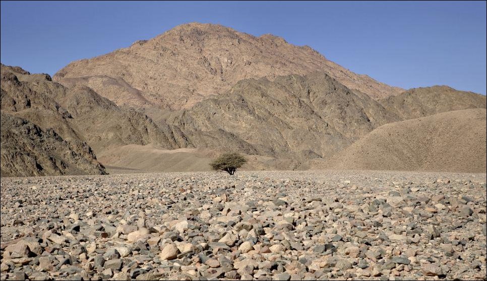 Кинотеатр в пустыне