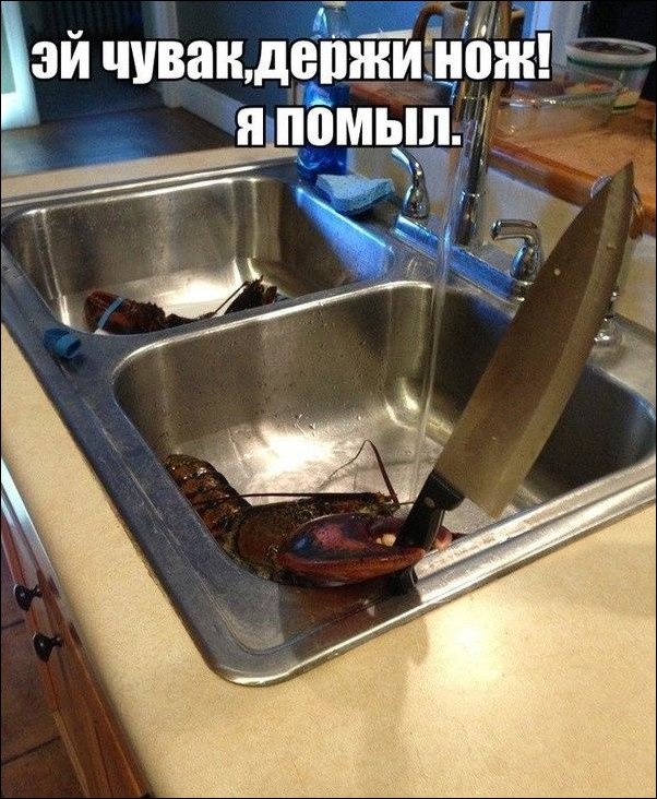 Фото приколы