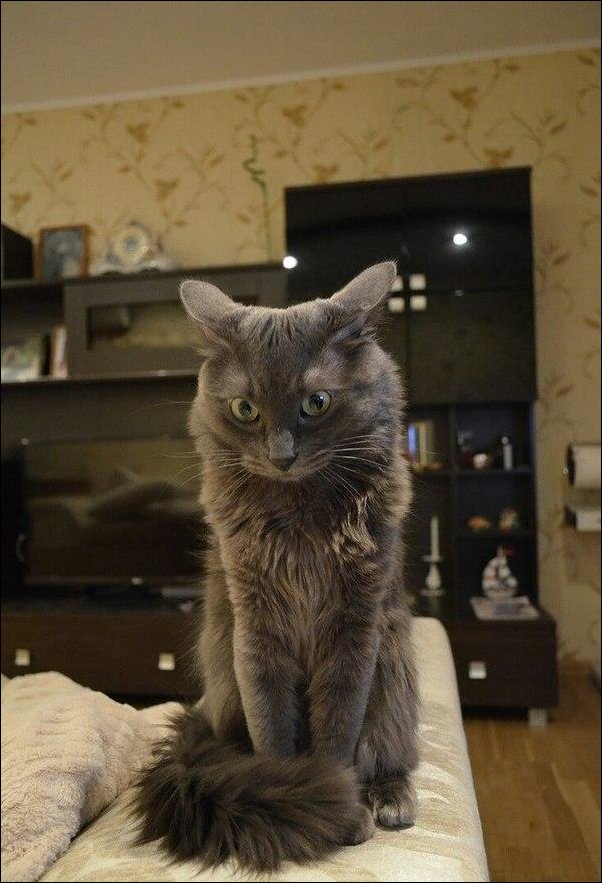 Фото приколы