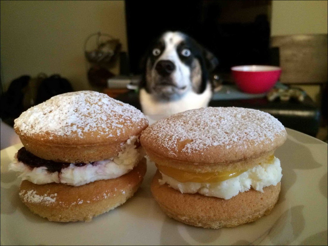 Фото приколы