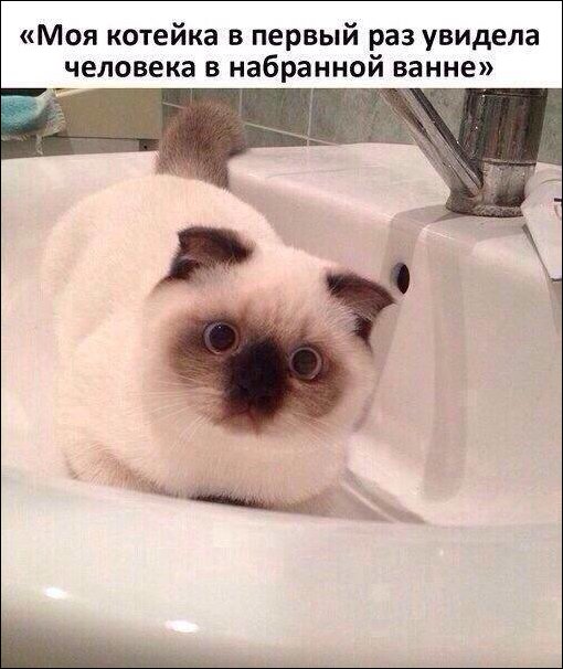 Фото приколы