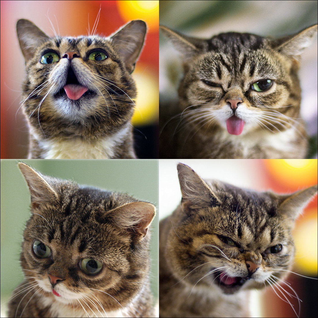 Фото приколы