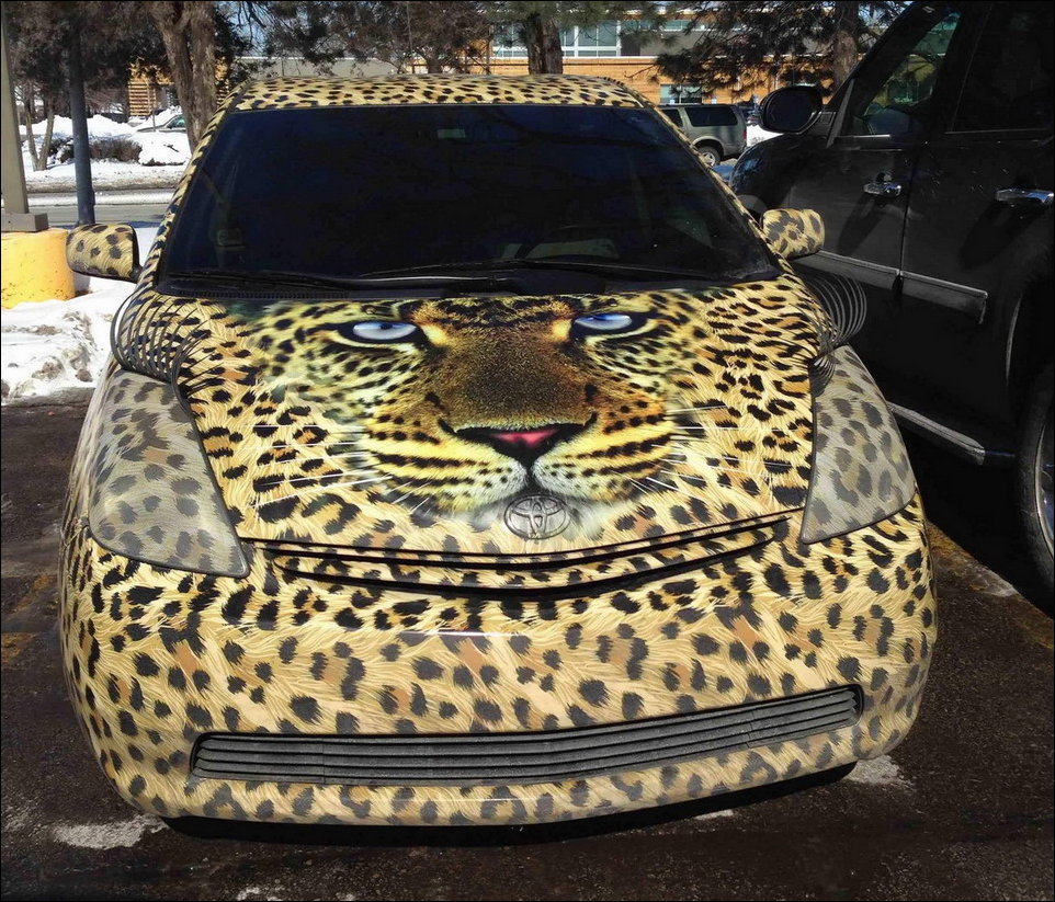 Фото приколы