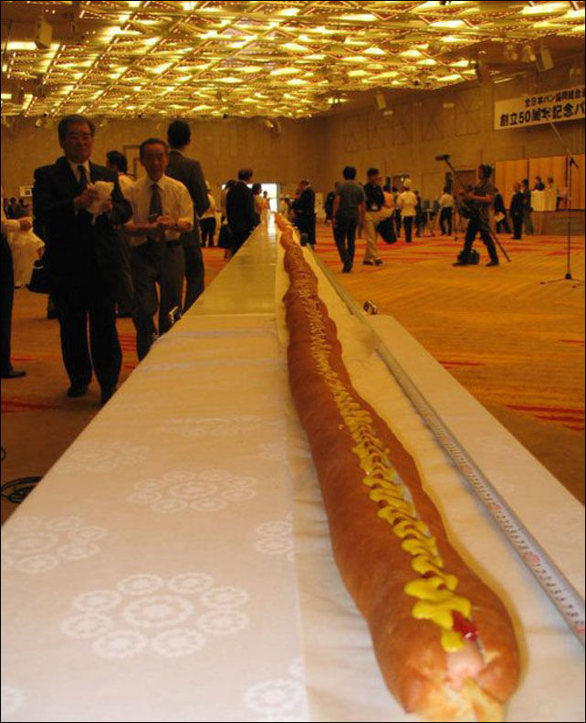 Фото приколы