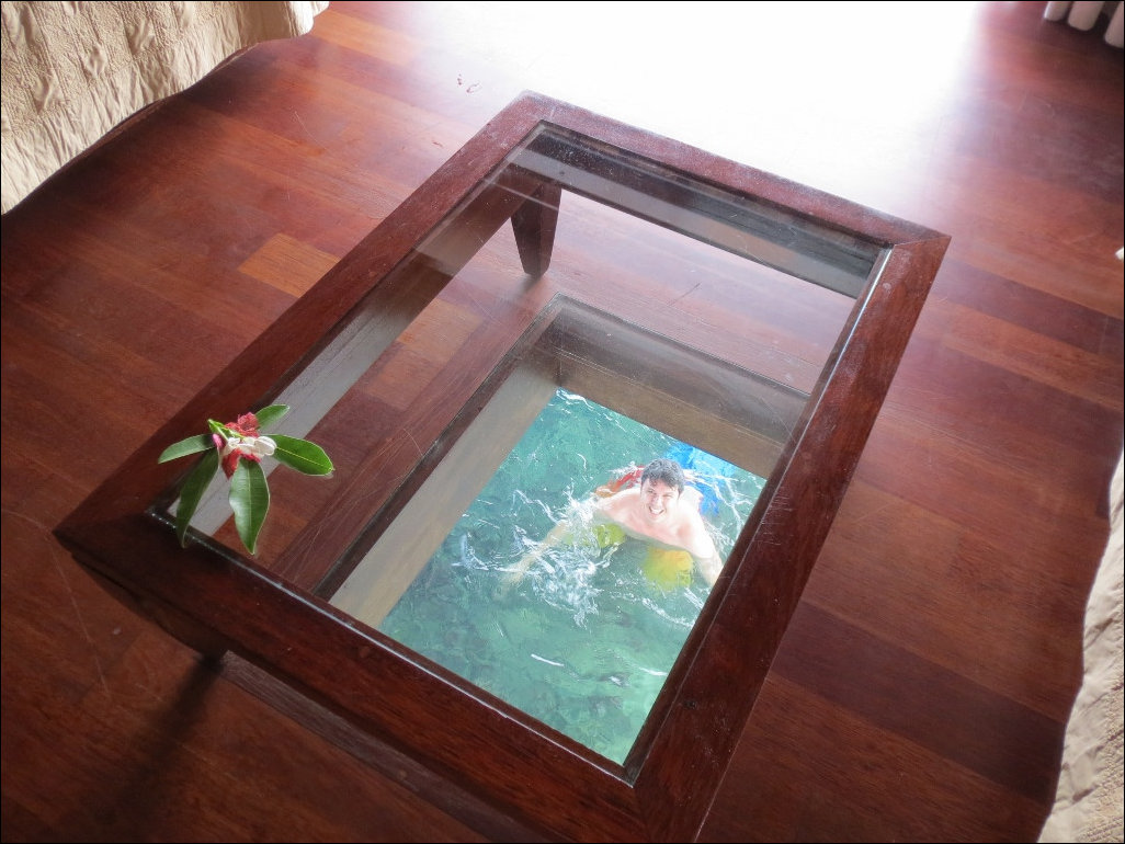 Фото приколы