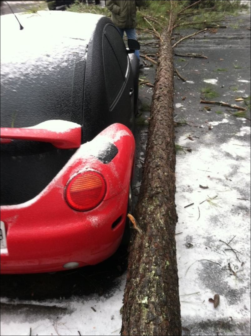 Фото приколы