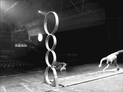 Прикольные гифки