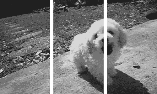 Гифки с эффектом 3D