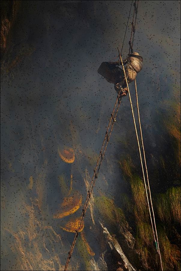 Охота за диким медом в Непале