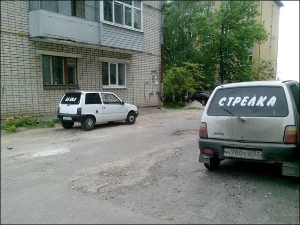 Прикольные надписи и объявления