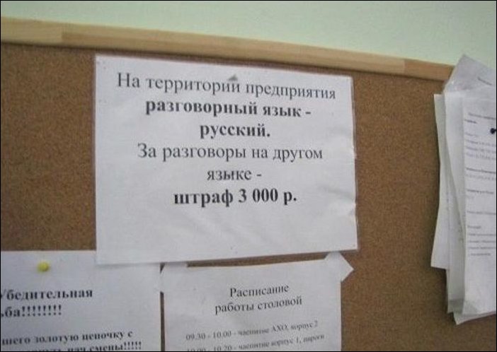 Прикольные надписи и объявления