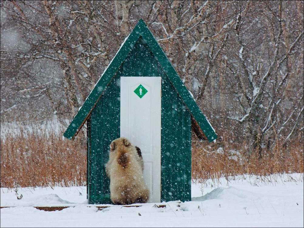 Подборка фотографий