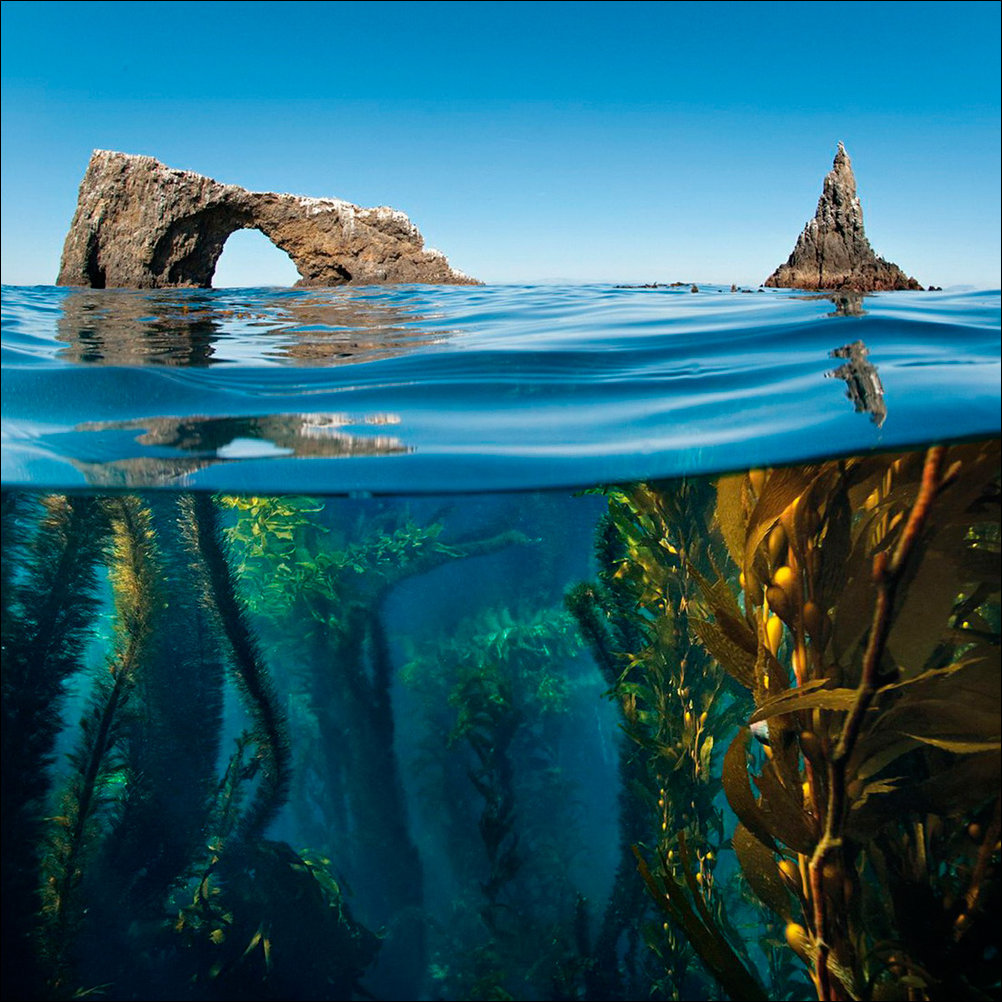 Подборка фотографий