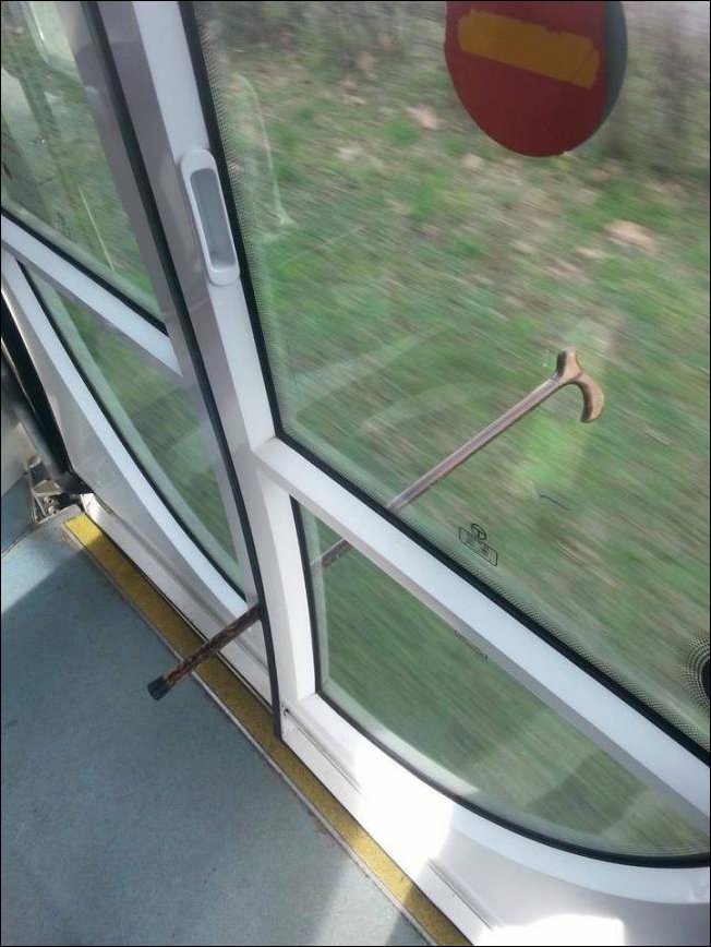 Подборка фотографий