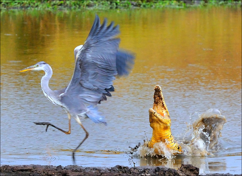 Подборка фотографий