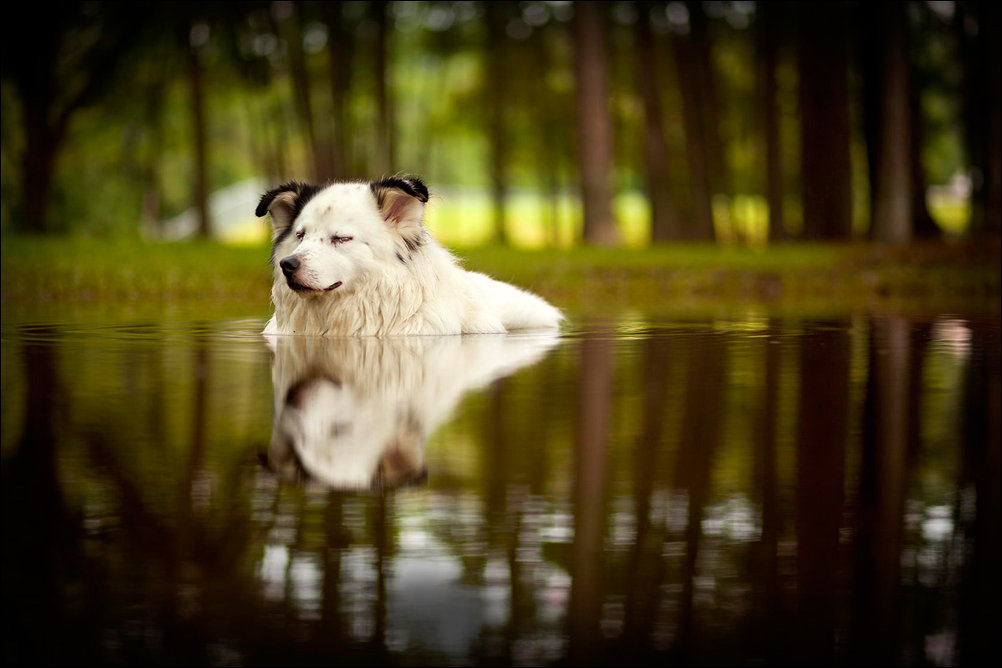 Подборка фотографий