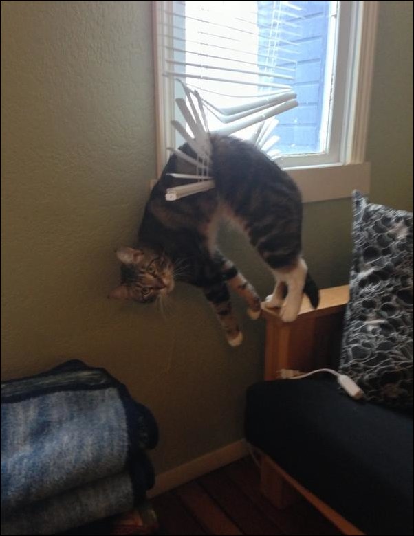 Подборка фотографий