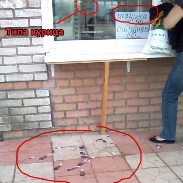 Подборка фотографий