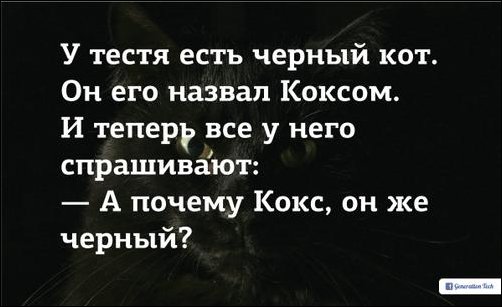 Подборка фотографий