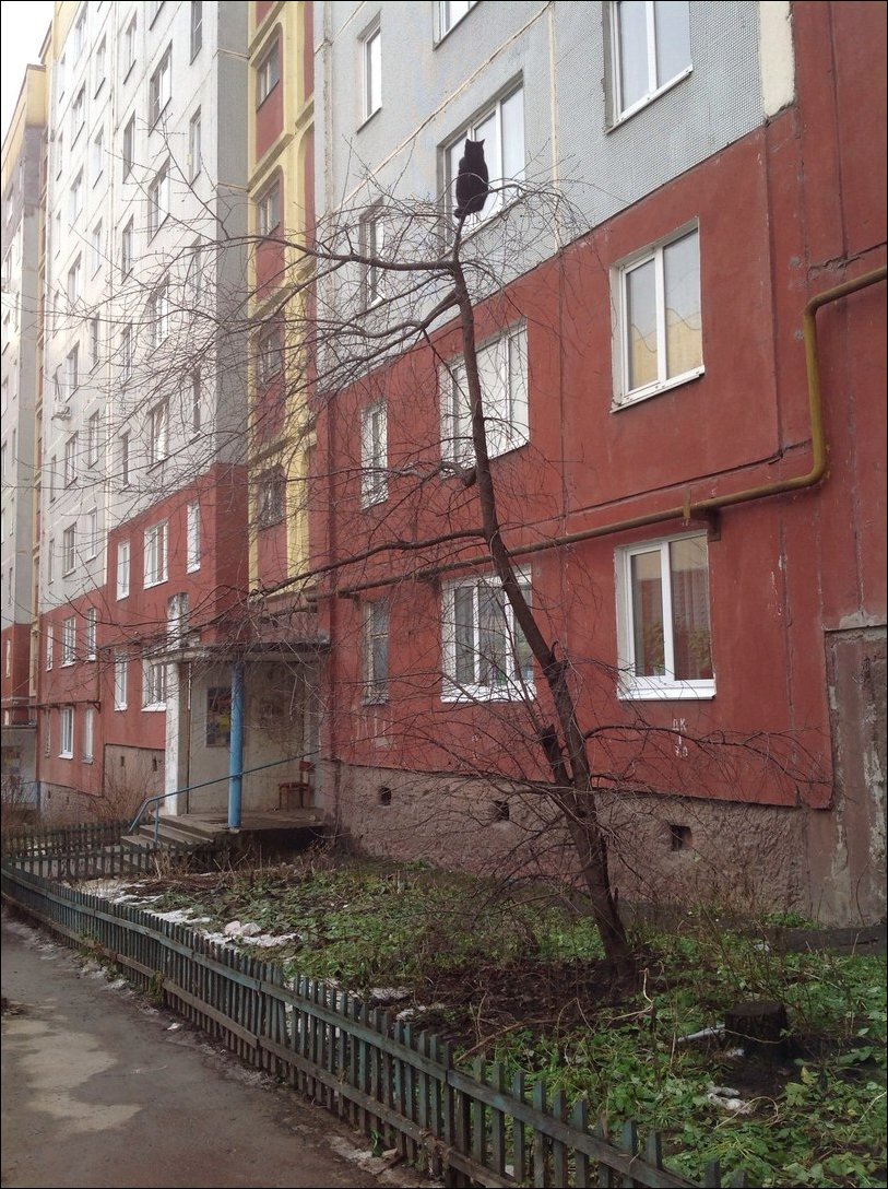 Подборка фотографий