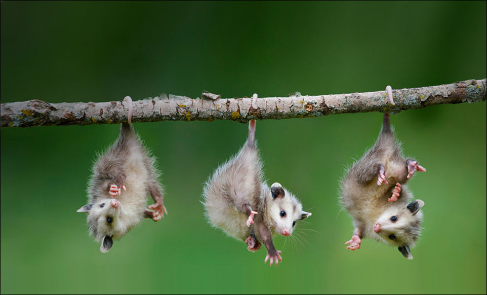 Подборка фотографий